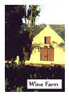 3 winelands2.jpg (44879 bytes)