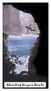 Knysna_Heads_Abseil_4.jpg (13230 bytes)
