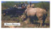 Shamwari Game Rhino.jpg (97889 bytes)