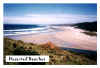 beaches.jpg (61894 bytes)