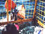 Shark attacking the cage