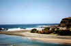 Wild Coast
