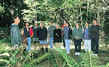 Rain Forest Wlak