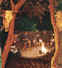 Kouga Bush Camp Lapa