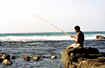 Fishing the Surf on the Wild Coast