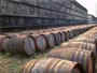 Wine Barrels