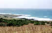 Wild Coast