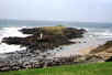 Wild Coast