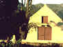 A Barn on a wine farm